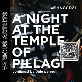 Album cover of A Night At The Temple of Pillagi
