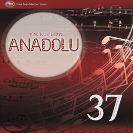 Album cover of Anadolu-37