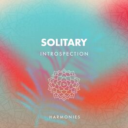 Album cover of zZz Solitary Introspection Harmonies zZz