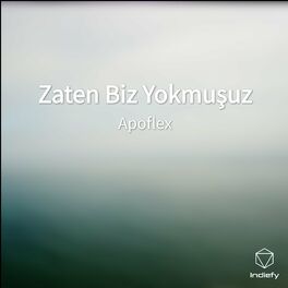 Album cover of Zaten Biz Yokmuşuz