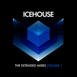Album cover of The Extended Mixes Vol. 1