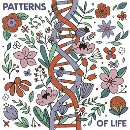 Album cover of Patterns Of Life