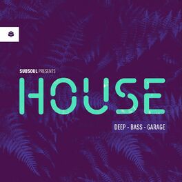 Album cover of SubSoul Presents: House