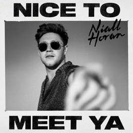 Niall Horan – Everywhere Lyrics