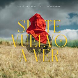 Album cover of Si Te Vuelvo a Ver