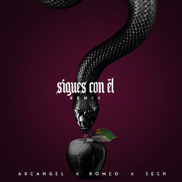 Album cover of Sigues Con El (Remix)