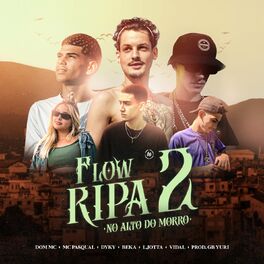 Album cover of Flowripa 2 - No Alto do Morro