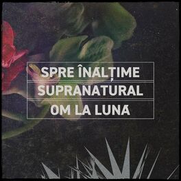 Album cover of Spre înălțime b/w Supranatural