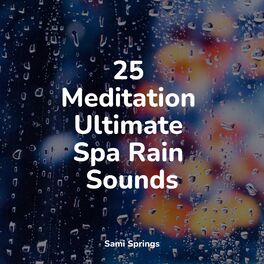 Album cover of 25 Meditation Ultimate Spa Rain Sounds