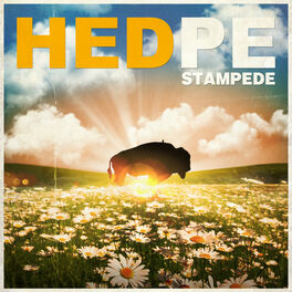 Album cover of Stampede