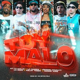 Album cover of Toy Malo
