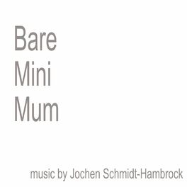 Album cover of Bare Minimum