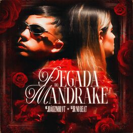 Album cover of Pegada do Mandrake