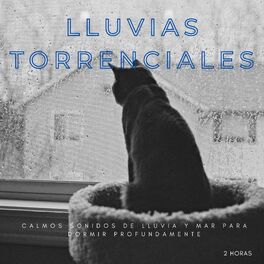 Album cover of Lluvias Torrenciales: Calmos Sonidos De Lluvia y Mar Para Dormir Profundamente - 2 Horas
