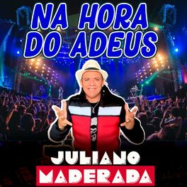 Album cover of Na Hora do Adeus