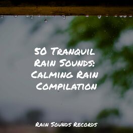 Album cover of 50 Tranquil Rain Sounds: Calming Rain Compilation