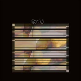 Album cover of Zins