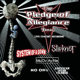 Album cover of The Pledge Of Allegiance Tour Live Concert Recording