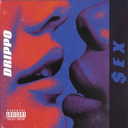Album cover of $EX