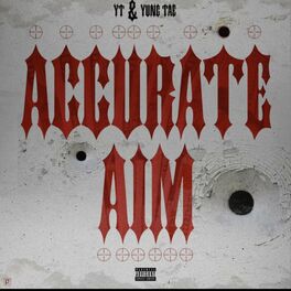Album cover of Accurate Aim (feat. YT)