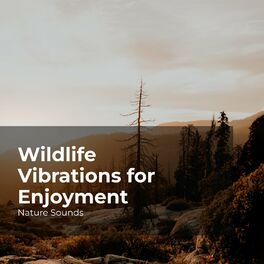 Album cover of Wildlife Vibrations for Enjoyment