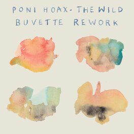 Album cover of The Wild (Buvette Rework)