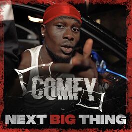 Album cover of Next Big Thing (Freestyle)