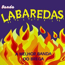 Album cover of A Melhor Banda do Brega, Vol. 1
