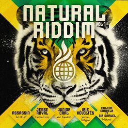 Album cover of Natural Riddim Vol. 1