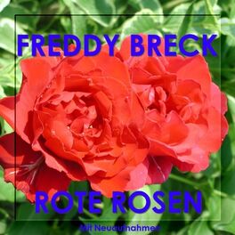 Album cover of Rote Rosen Für Dich - Mit Neuaufnahmen in Verbesserter Klangqualität