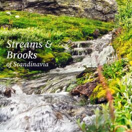 Album cover of Streams & Brooks of Scandinavia