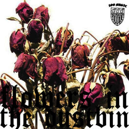 Album cover of Flowers In The Dustbin
