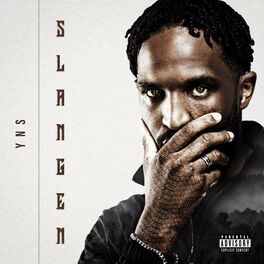 Album cover of Slangen