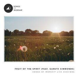 Album cover of Fruit of the Spirit (feat. Gareth Simmonds)