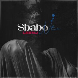 Album cover of SBABO NTI