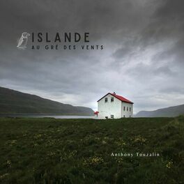 Album cover of Islande au gré des vents