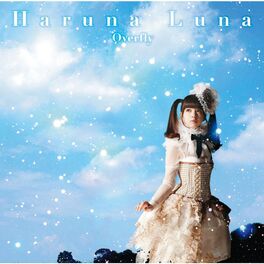 Album cover of Overfly