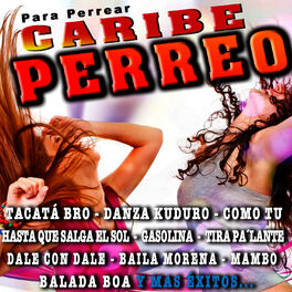 Album cover of Caribe Perreo y Mas Éxitos para Perrear