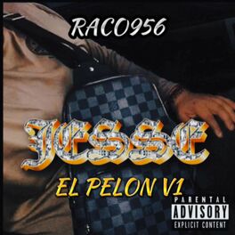 Album cover of EL PELON v1