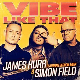 Album cover of Vibe Like That (feat. Georgia Meek)
