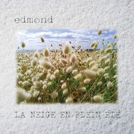 Album cover of La Neige En Plein Été
