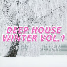 Album cover of Deep House Winter Vol.1