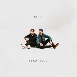 Album cover of Stray Dogs