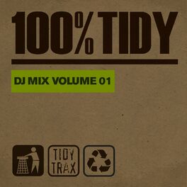 Album cover of 100% Tidy, Vol. 1