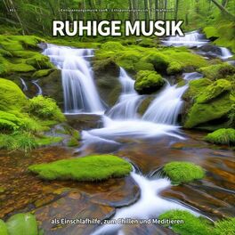 Album cover of #01 Ruhige Musik als Einschlafhilfe, zum Chillen und Meditieren
