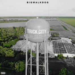 Album cover of Trick City (Deluxe)