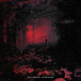 Album cover of Darker Colors