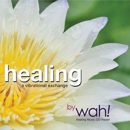 Album cover of Healing: A Vibrational Exchange