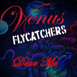 Album cover of Dear Me