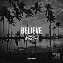 Album cover of Believe